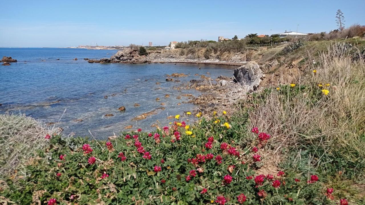 Villetta La Gabbianella 利沃诺 外观 照片